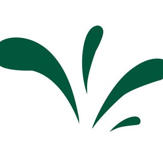 Green_ check  TOPPINGS list to ADD ON!!!