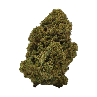 Gelato 5Gr.