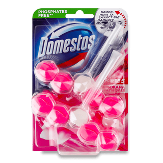 Блок для унітазу Domestos Power5+ Крижана магнолія (2*55г)