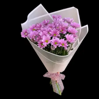 Pure Pink