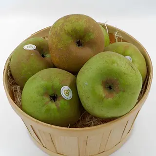 MANZANA REINETA VERDE UNIDAD (265 GR APROX.)