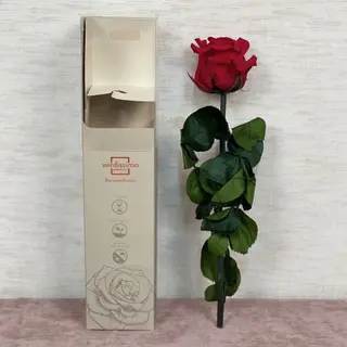 Rosa Preservada M