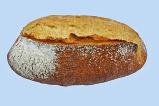 Pain au Levain