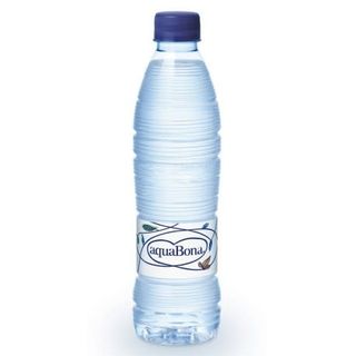 Agua (500 Ml.)