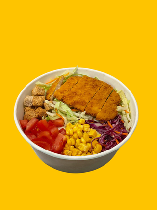 SALATA SNITEL VEGETARIAN DRISTOR