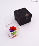 Rosa preservada Flowercube 6x6 Color Multicolor