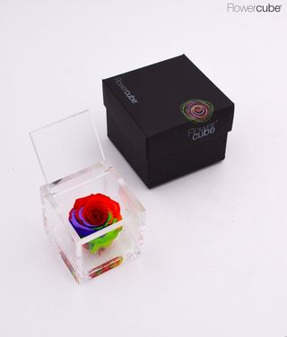Rosa preservada Flowercube 6x6 Color Multicolor
