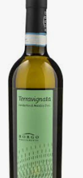 Verdicchio di Matelica Terravignata '23 Borgo Paglianetto