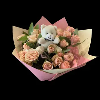 Pink  Teddy