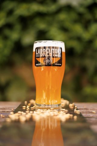 Labrewtory Flying Mamaliga Cream Ale