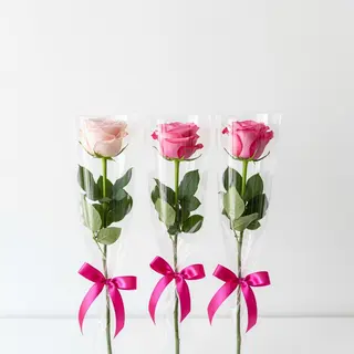 3 Roses Roses Emballées Individuellement