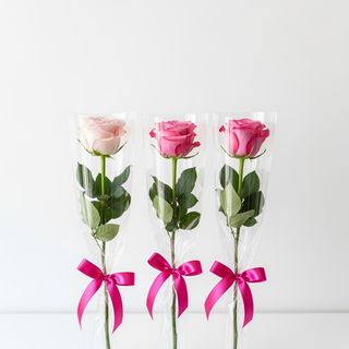 3 Roses Roses Emballées Individuellement