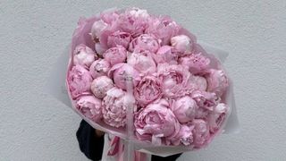 Bukiet Pachnących Peoni - 25 szt