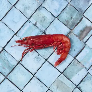 Gambero rosso da crudo 1 pezzi