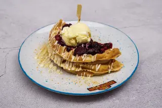 Waffle Šumska Plazma
