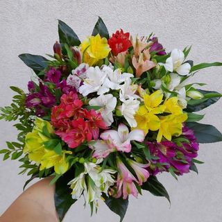 Bukiet kwiatów alstrymerii z dodatkami,rozmiar M