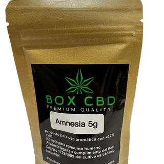 Amnesia 5G