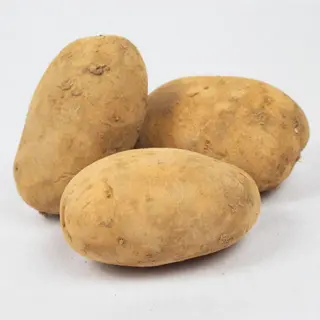 Patata blanca BÍO