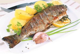 Pastrmka s pomfritom