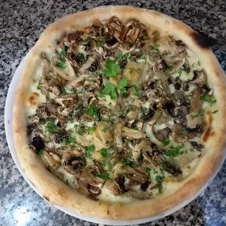  Funghi pleurotus