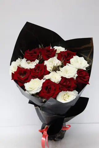 Classique Red White