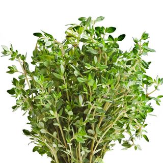 Tomillo Fresco Manojo