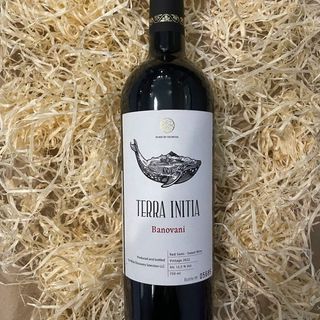 Вино Червоне Н/солодке, Terra Initia, Banovani, 2022рік (грузія), 750мл