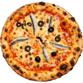  napolitaine   Senior