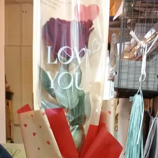 Rosa rossa 