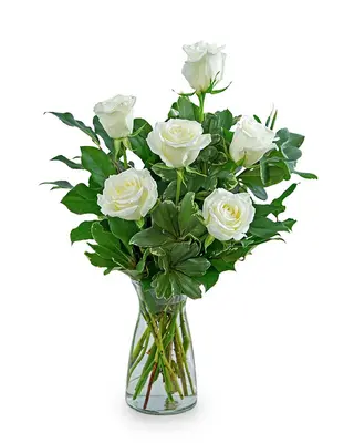 Media Docena Rosas Blancas
