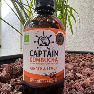 Kombucha Gutsy Captain de Gengibre e Limão