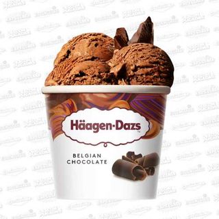 Haagen-Dazs Chocolate Belga