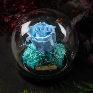 Cloche dôme bleu ciel