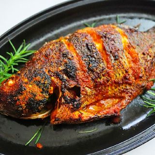 Tilapia