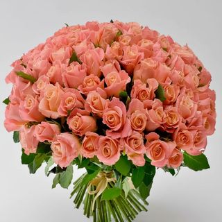 101 троянда Міс Піггі