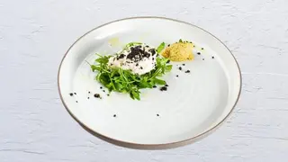 Pašteta od Bakalara
