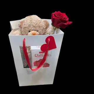 Teddy Gift 1