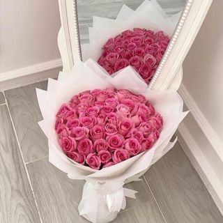 Baby pink roses