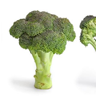 BROCCOLI BARESI