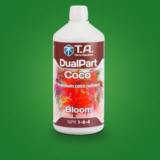 კოკო ბლუმი - Coco Bloom 50ml