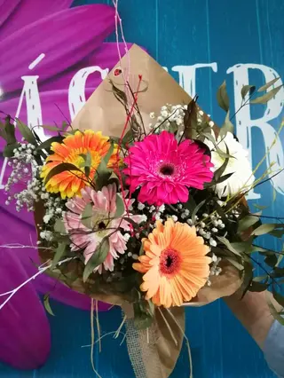 Ramo Gerberas