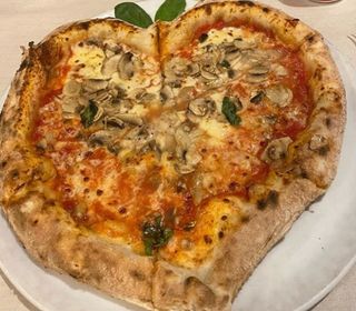 Funghi