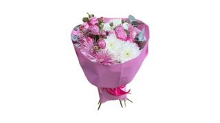 ჟოლოსფერი ჯუჯა ვარდები და ქრიზანთემები