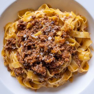 Bolognesa