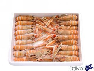 SCAMPI 10/15 GRANDI  KG 1,350 ( PZ 20  CIRCA)