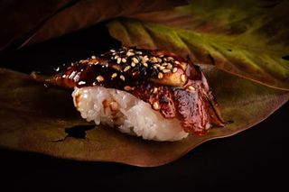 Nigiri de Anguila (1 Ud.)