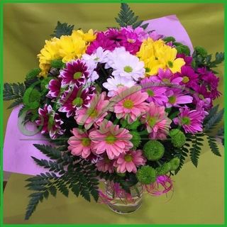 Bouquet compacto de margaritas variadas