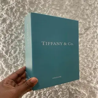 The Tiffany &Co Decor book