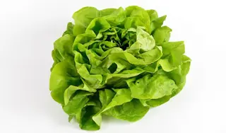 Zelena salata