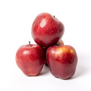 Mere Starkinson (bot de iepure)